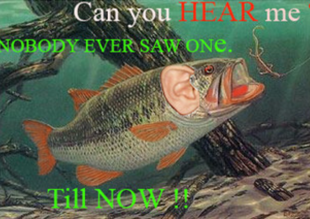 Can You Hear Me NOW